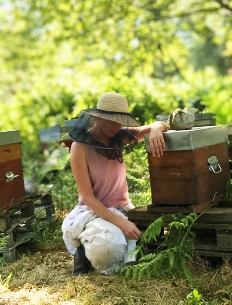 acheter miel bio direct producteur 