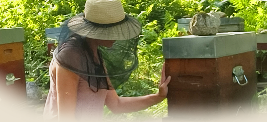 caroline davelu apicultrice