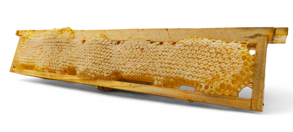 miel en rayon BIO local