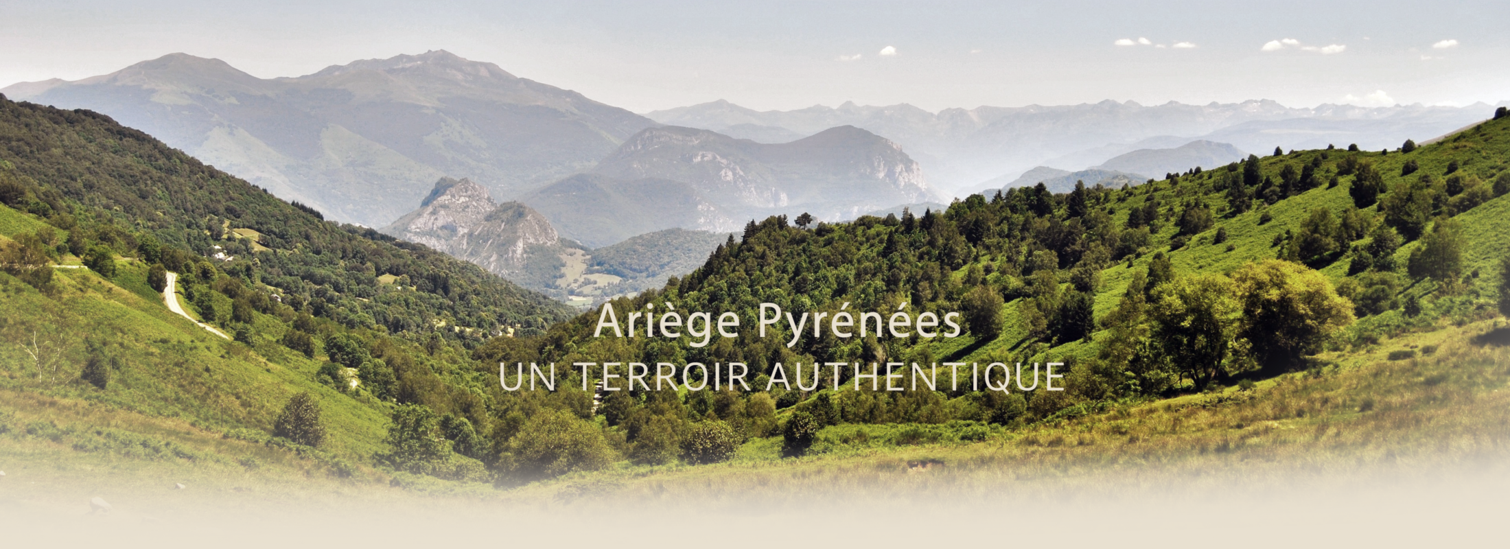 biologique producteur france.png